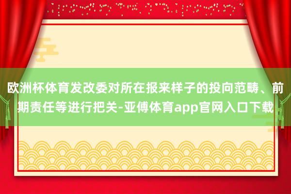 欧洲杯体育发改委对所在报来样子的投向范畴、前期责任等进行把关-亚傅体育app官网入口下载