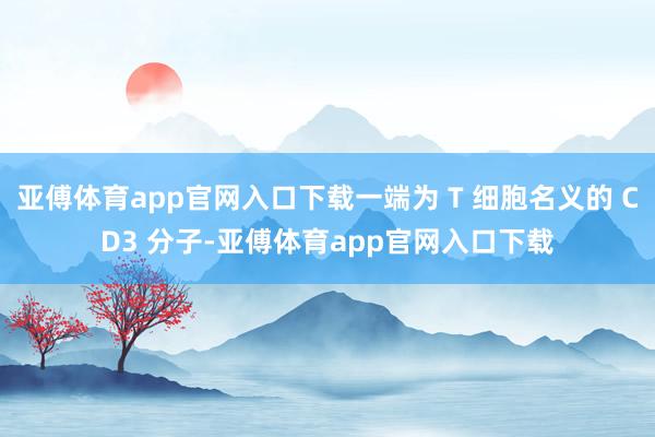 亚傅体育app官网入口下载一端为 T 细胞名义的 CD3 分子-亚傅体育app官网入口下载