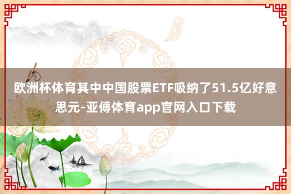 欧洲杯体育其中中国股票ETF吸纳了51.5亿好意思元-亚傅体育app官网入口下载